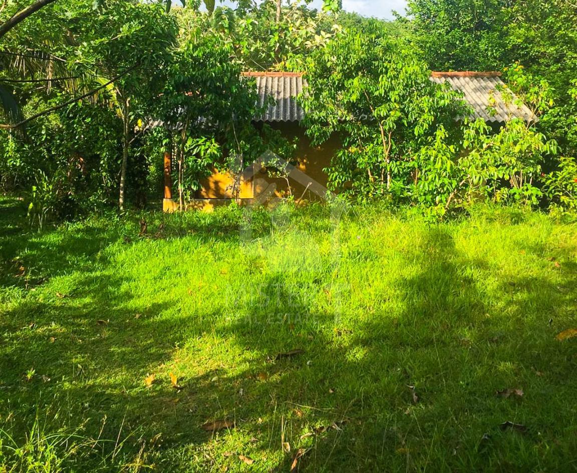 Commercial Land for Sale in Hikkaduwa- image 4