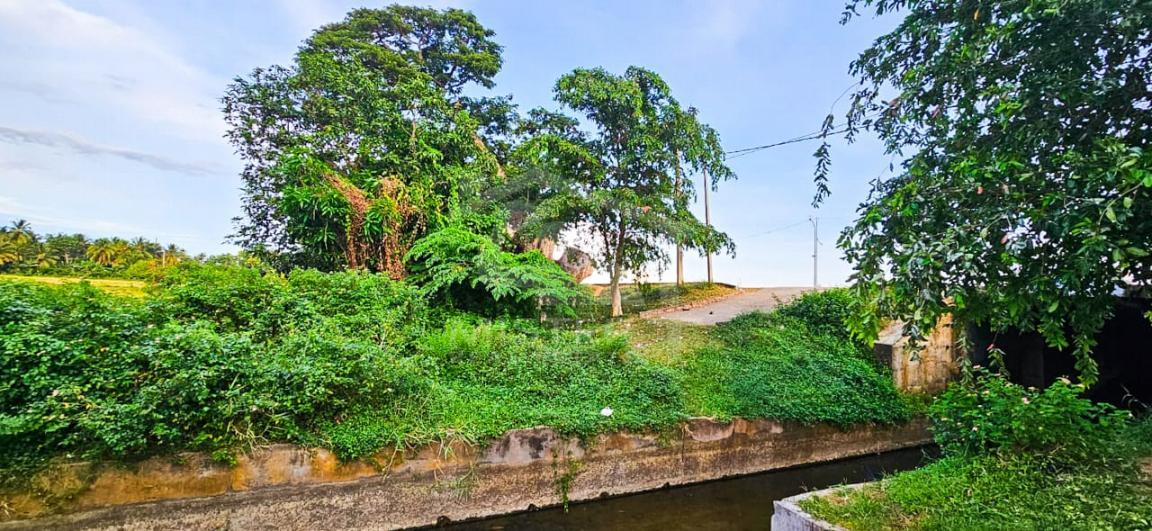 Commercial Land for Sale in Tissamaharama- image 4