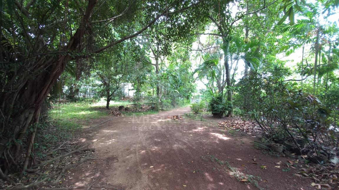 Land for Sale in Nugegoda- image 5
