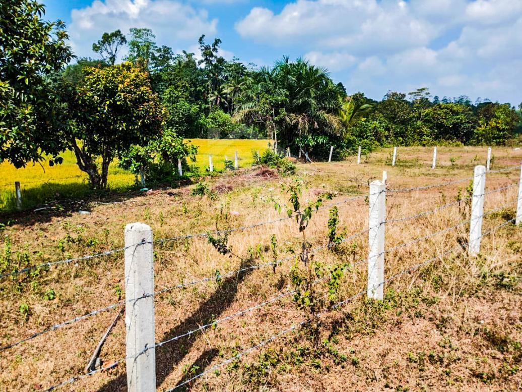 Land for Sale in Horana- image 1