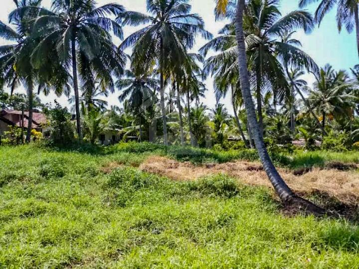 Land for Sale in Ja-Ela- image 1