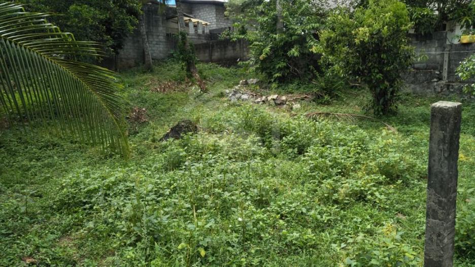 Land for Sale in Malabe - image 1