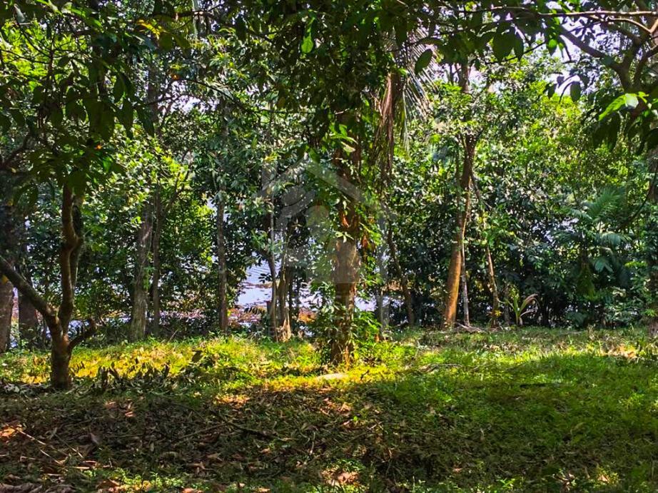 Land for Sale in Gampaha- image 1