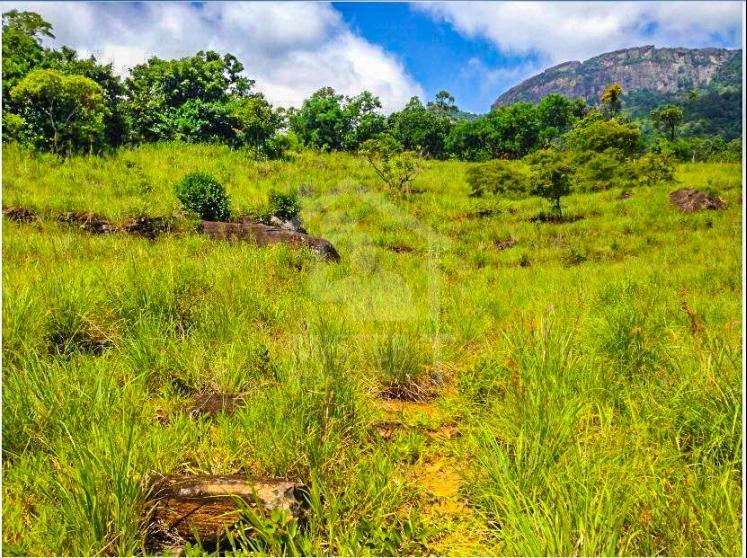 Land for Sale in Kandy- image 1
