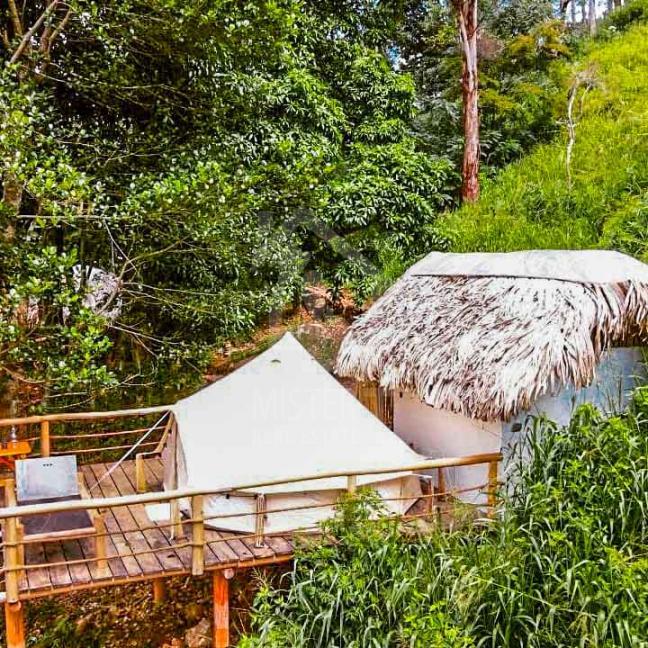 Land for Sale in Ella - image 1