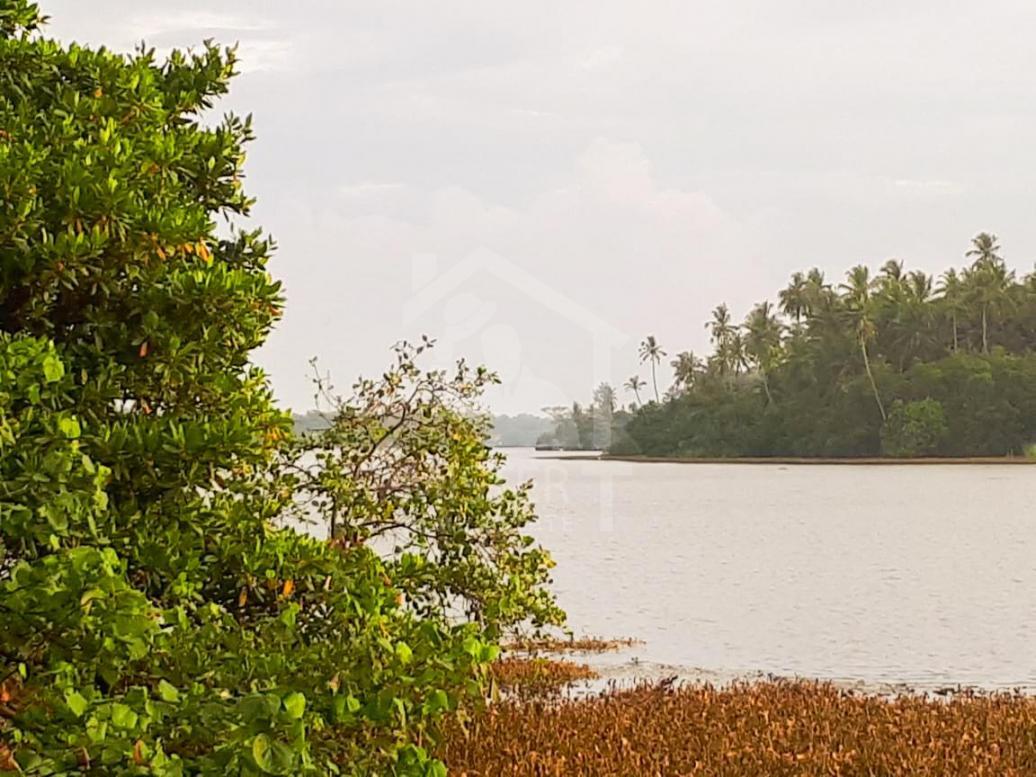 Land for Sale in Piliyandala- image 1