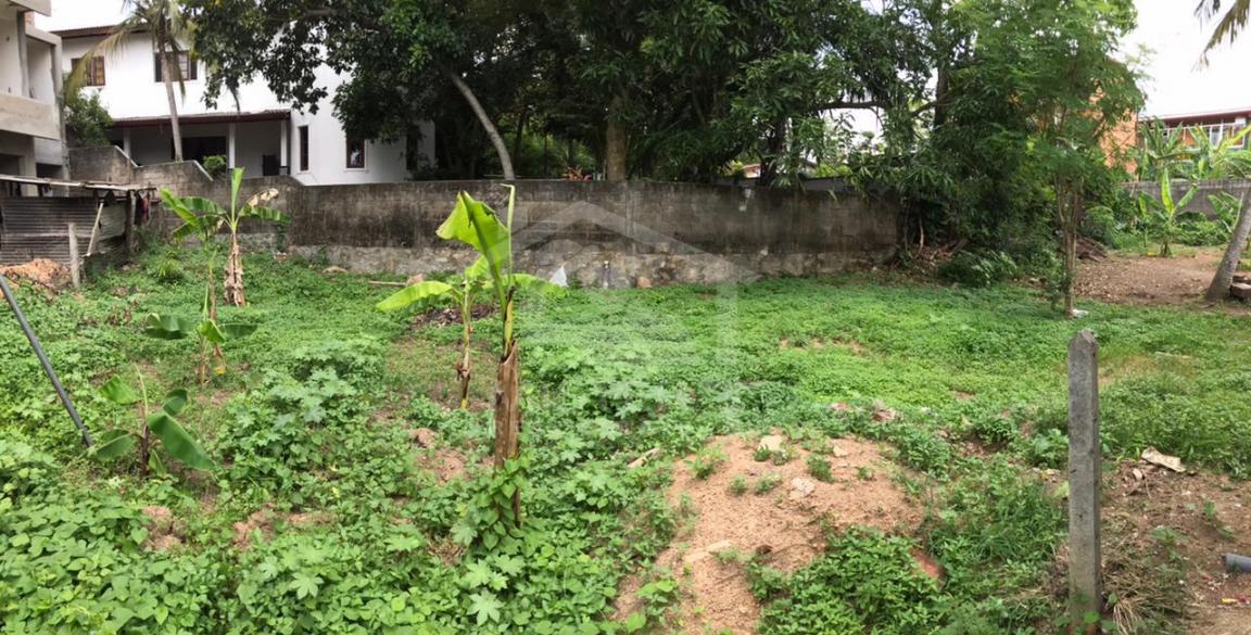 Land for Sale in Kotte- image 1