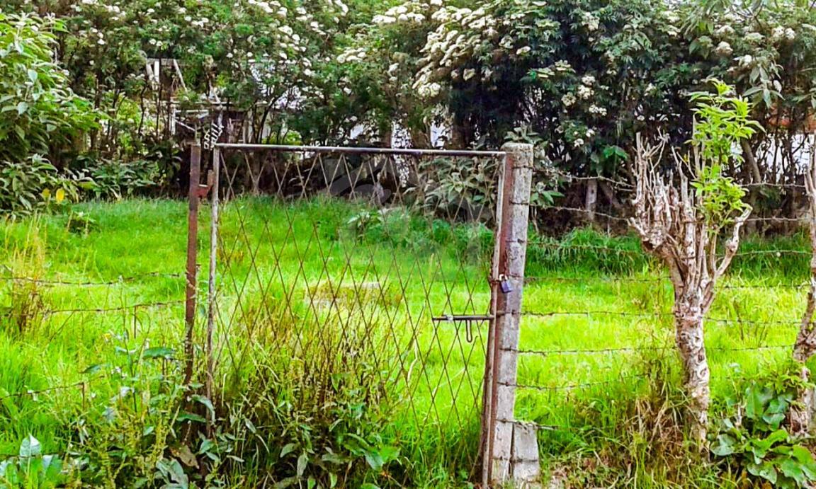 Land for Sale in Nuwara Eliya- image 1