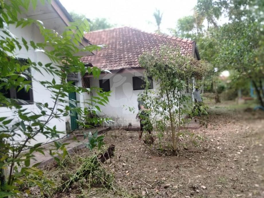 Land for Sale in Matara- image 1