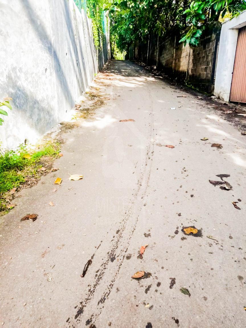 Land for Sale in Pagoda- image 2