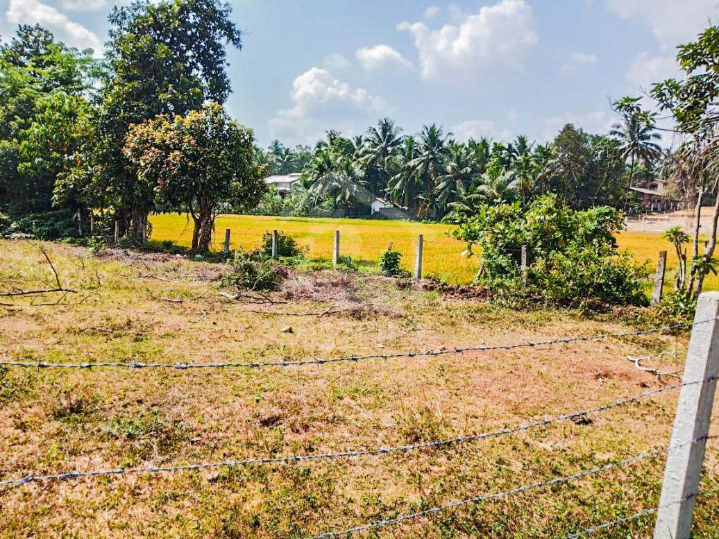 Land for Sale in Horana- image 2