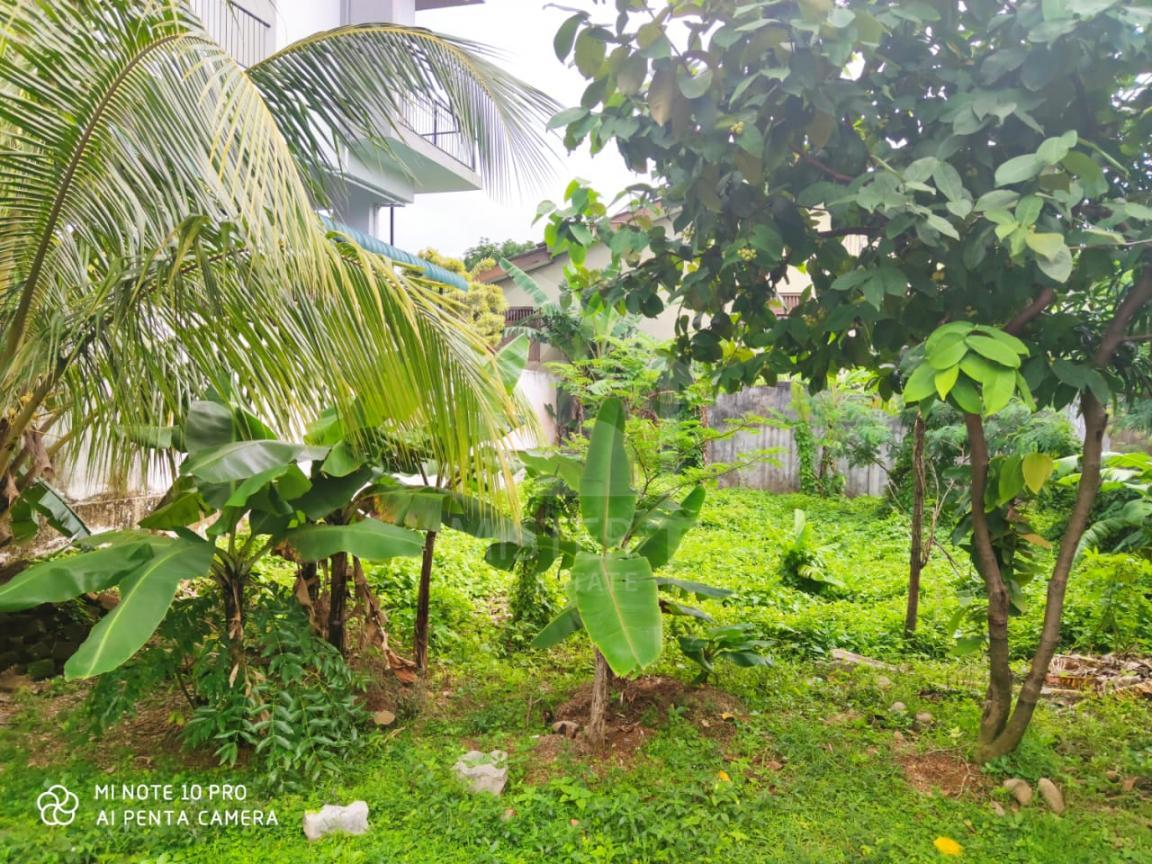 Land for Sale in Nawala- image 2