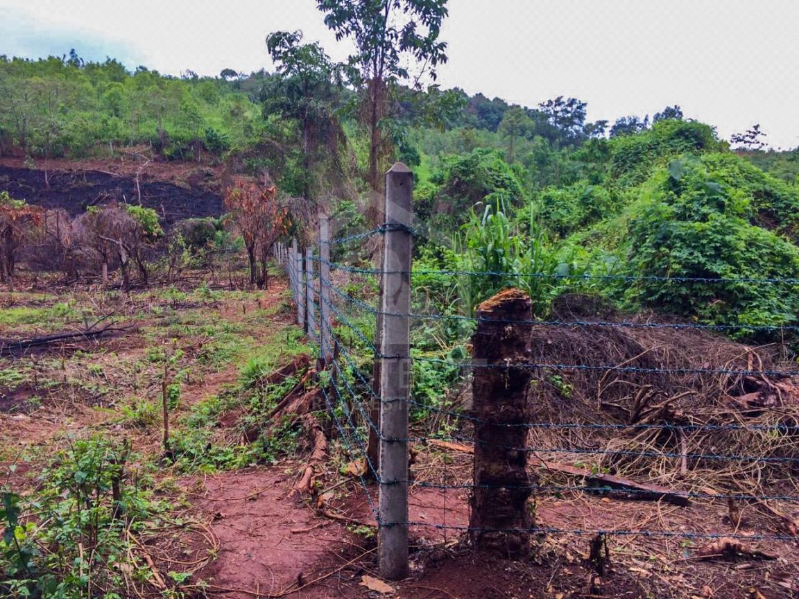 Land for Sale in Matale- image 2