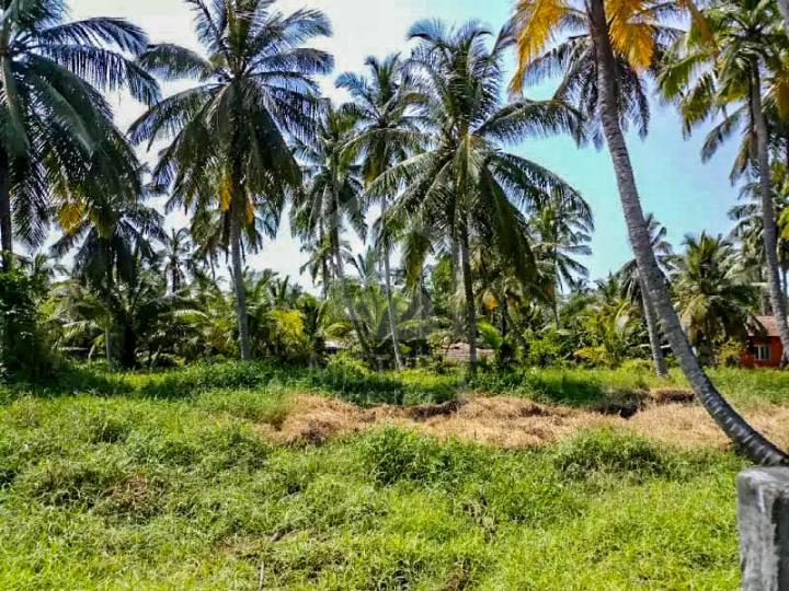 Land for Sale in Ja-Ela- image 2