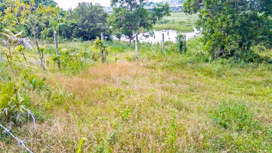 Land for  Sale in Malabe- image 2