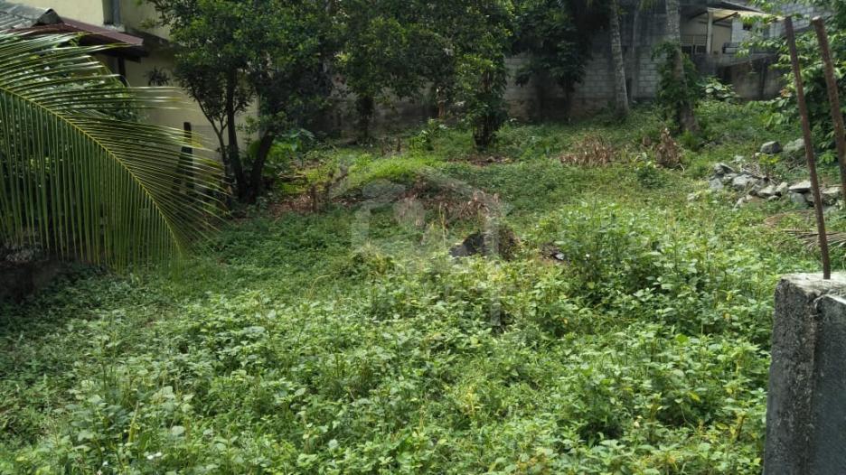 Land for Sale in Malabe - image 2