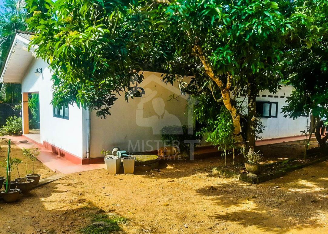 Land for Sale in Horana- image 2