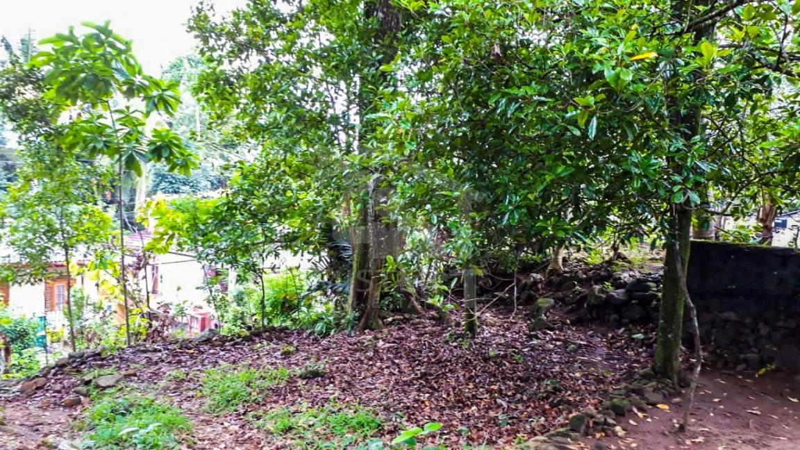 Land for Sale in Colombo- image 2