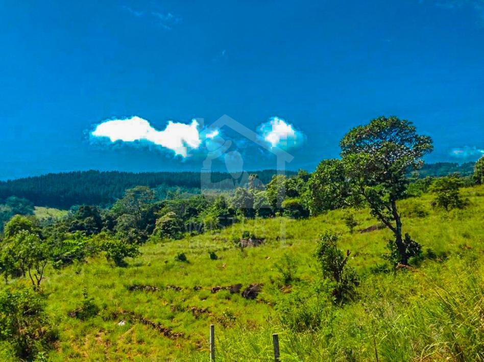 Land for Sale in Kandy- image 2