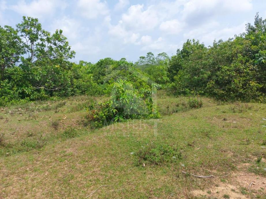 Land for Sale in Kalutara- image 2