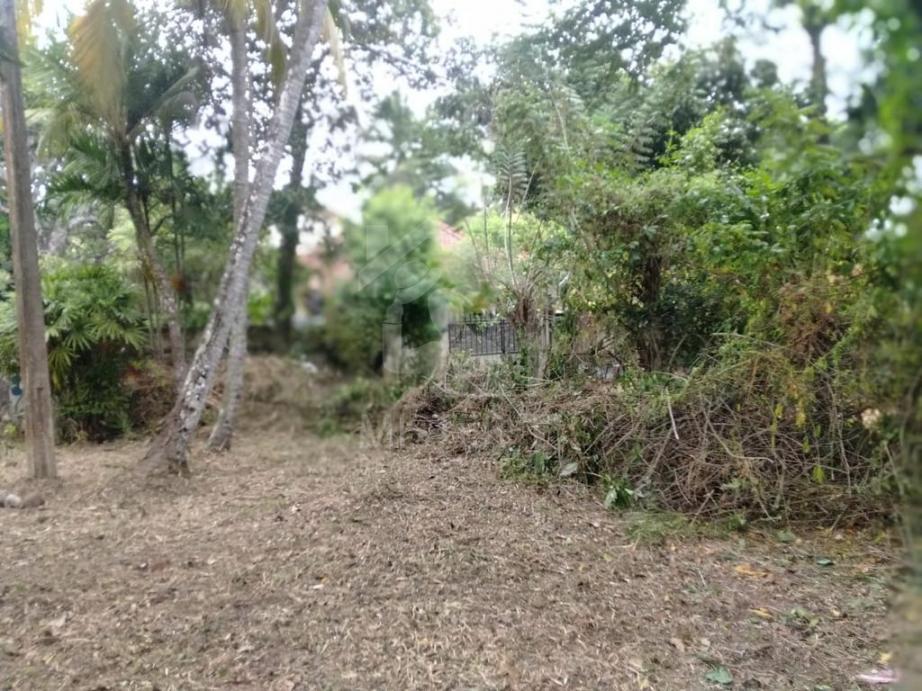 Land for Sale in Matara- image 2