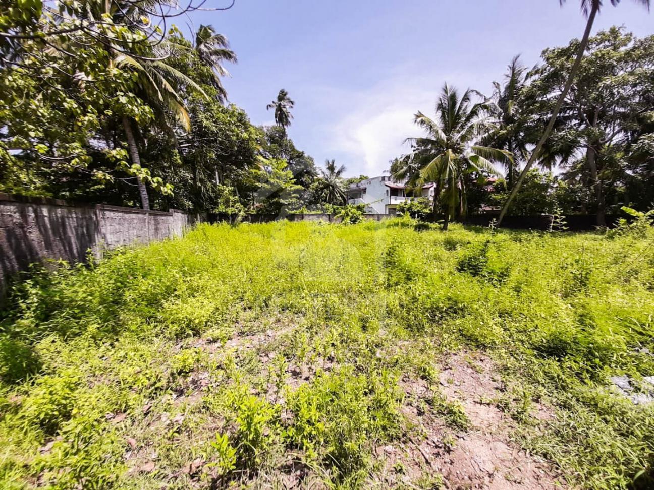 Land for Sale in Dehiwala- image 3
