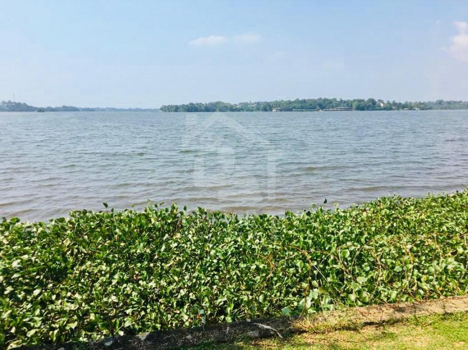 Land for Sale in Bolgoda  - image 3
