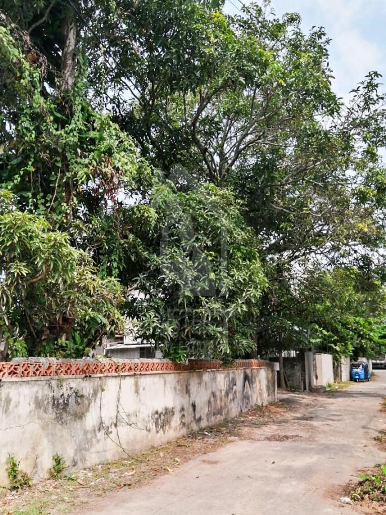 Land for Sale in Nawala- image 3