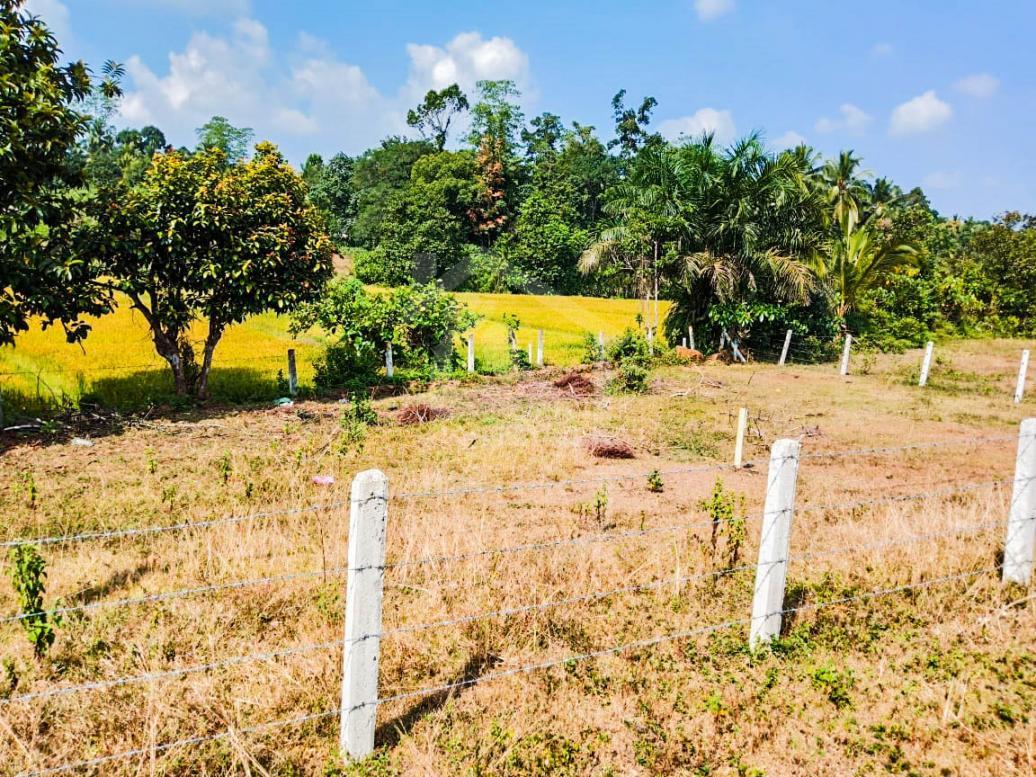 Land for Sale in Horana- image 3