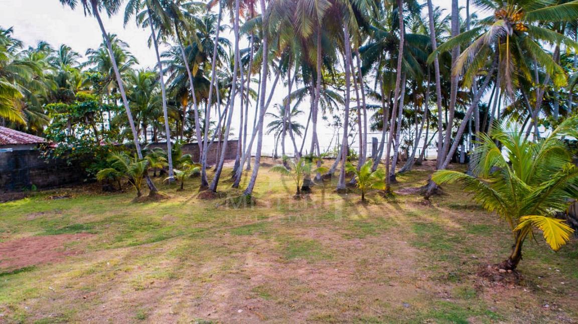 Land for Sale in Beruwala- image 3