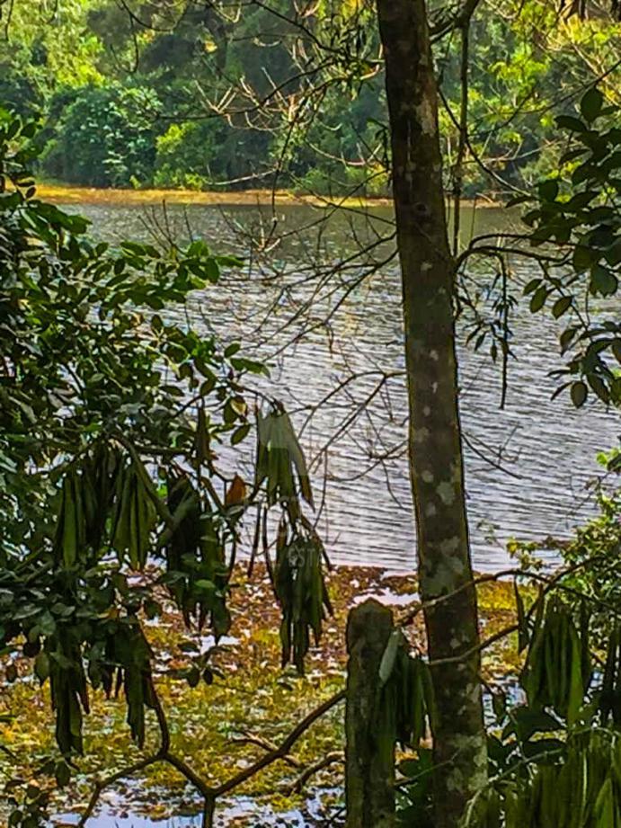 Land for Sale in Gampaha- image 3