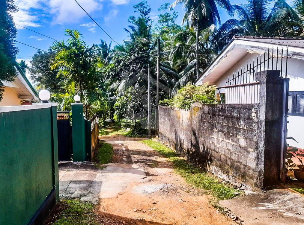 Land for Sale in Horana- image 3