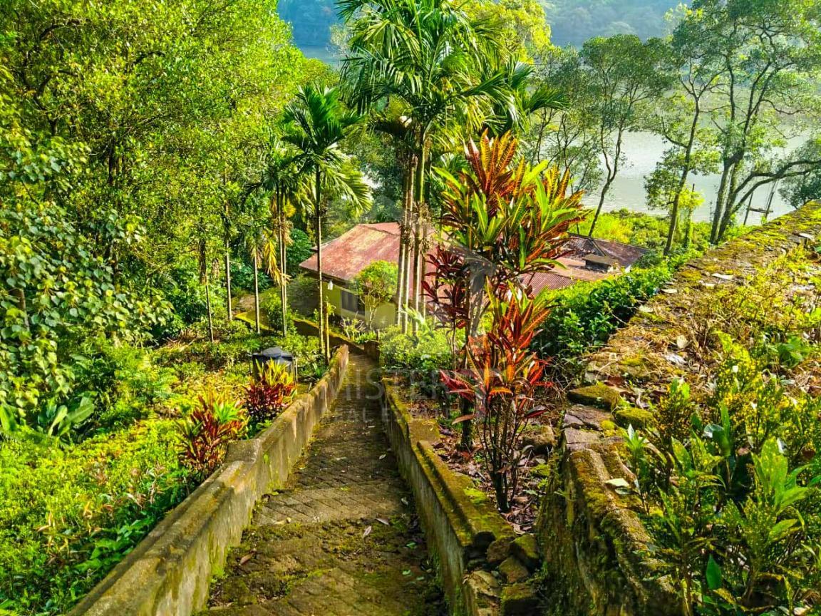 Land for Sale in Norton Bridge- image 3