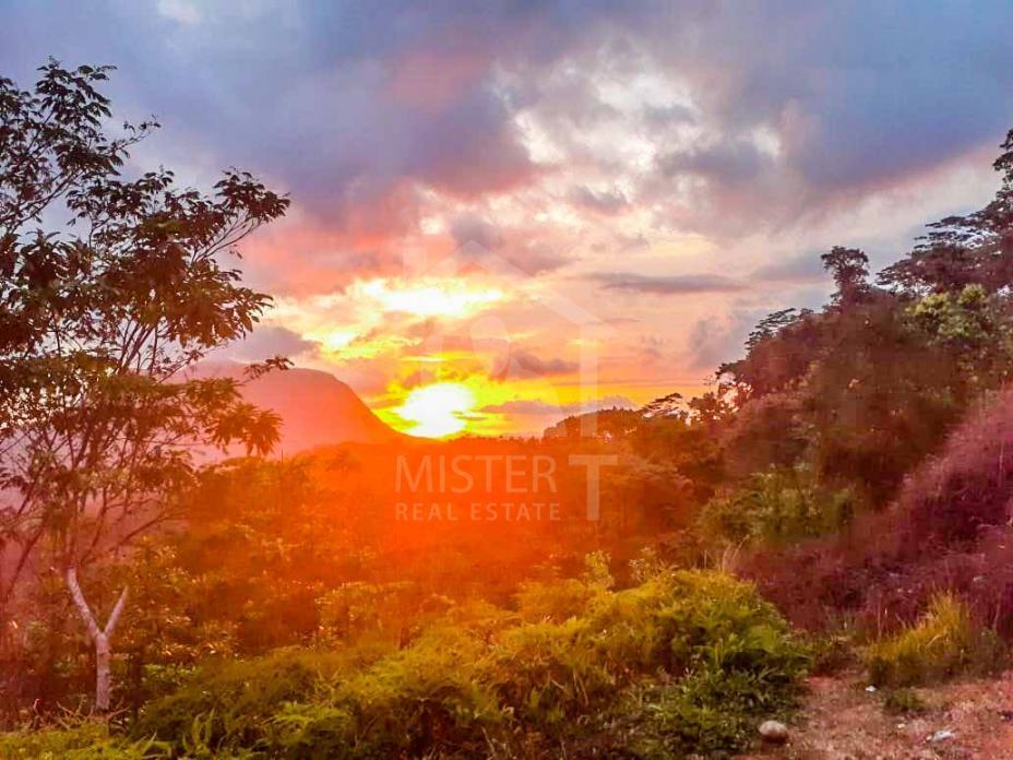 Land for Sale in Norton Bridge- image 3