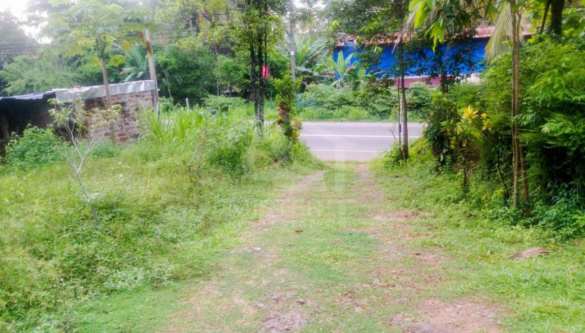 Land for Sale in Pokunuwita- image 3