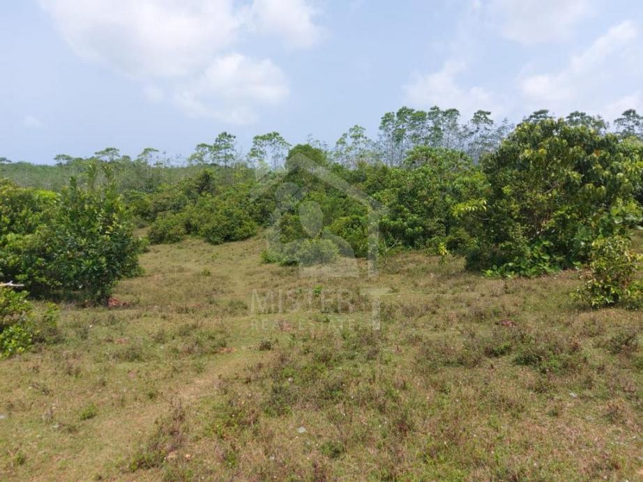 Land for Sale in Kalutara- image 3