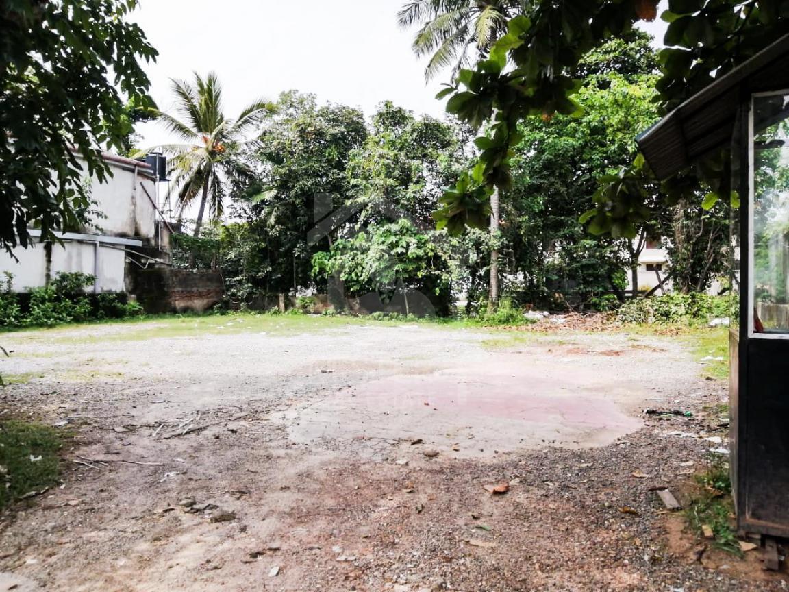 Land for Sale in Nawala- image 4