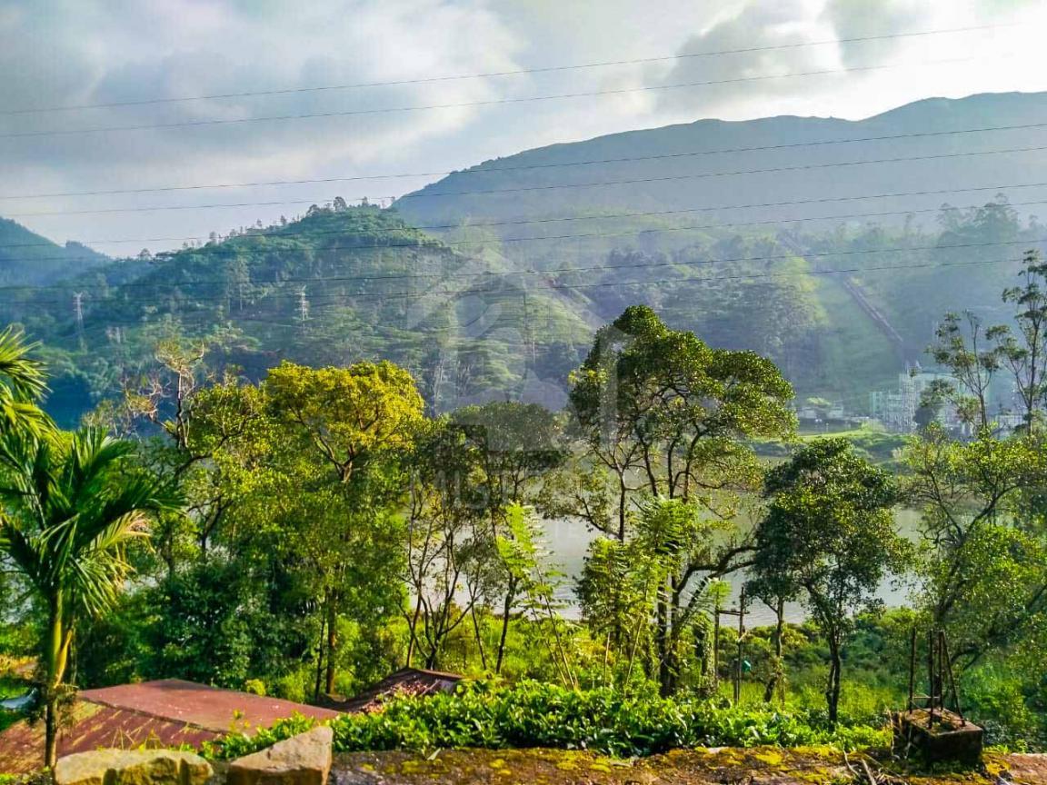 Land for Sale in Norton Bridge- image 4