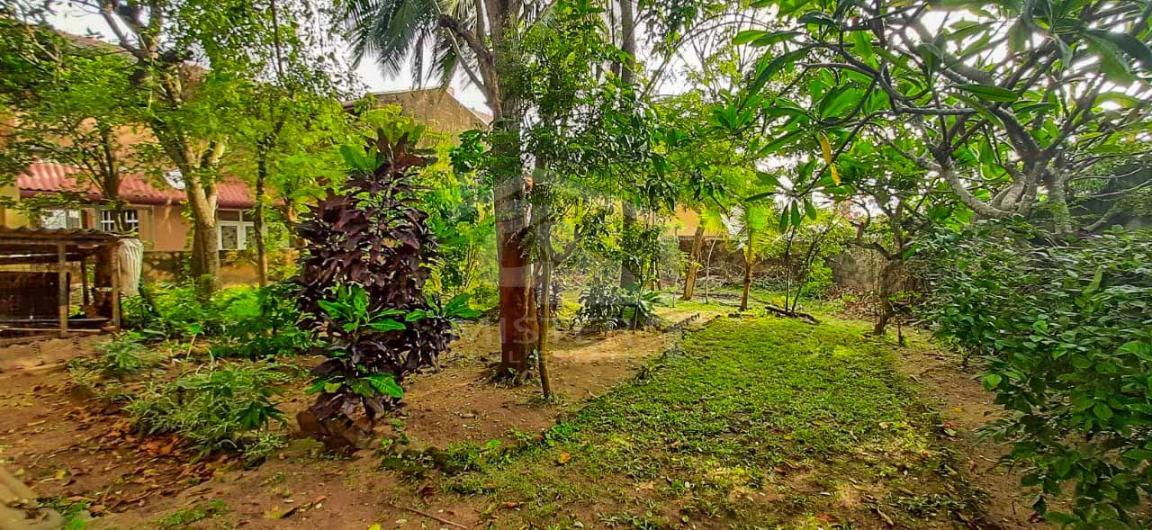 Land for Sale in Dehiwala- image 4