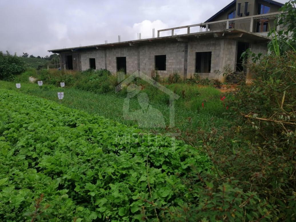 Land for Sale in Nuwera Eliya- image 5
