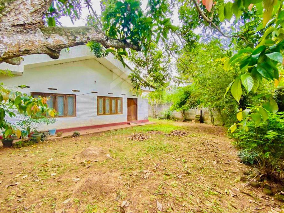 Land For Sale in Matara- image 1