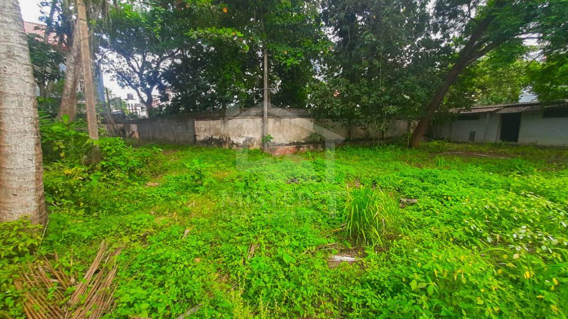 Land For Sale in Mount Lavinia- image 1