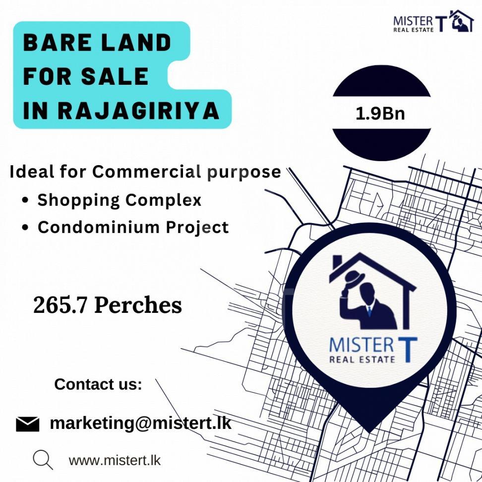 Bare Land For Sale in Thalangama- image 1