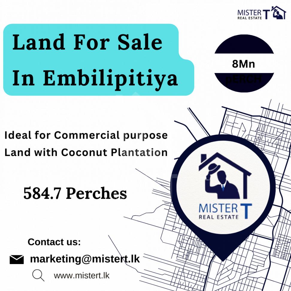 Land For Sale in Embilipitiya - image 1