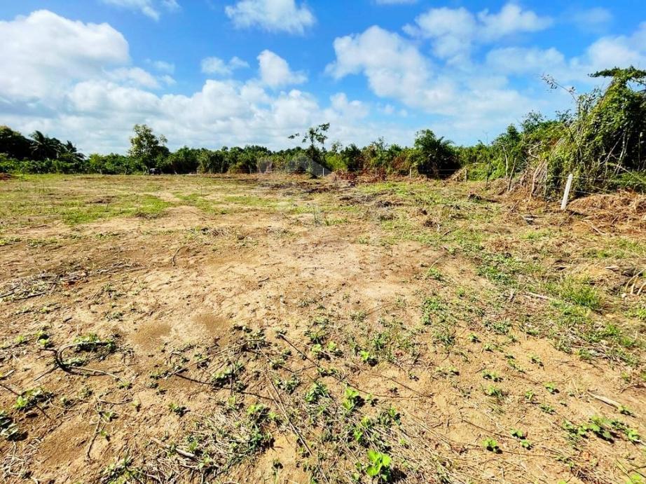 Land For Sale in Wadduwa- image 1