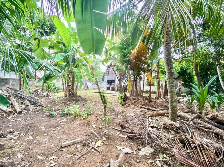 Land For Sale in Matara- image 2