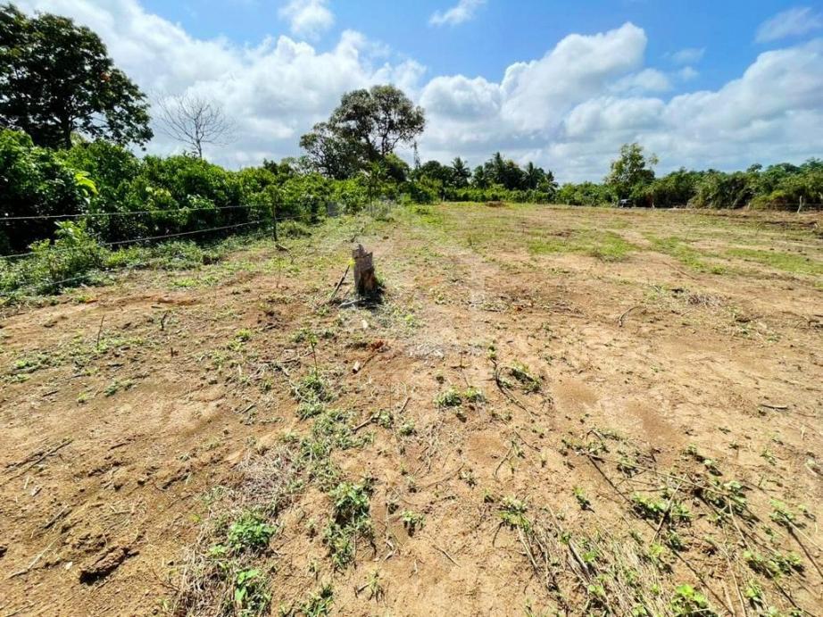 Land For Sale in Wadduwa- image 2
