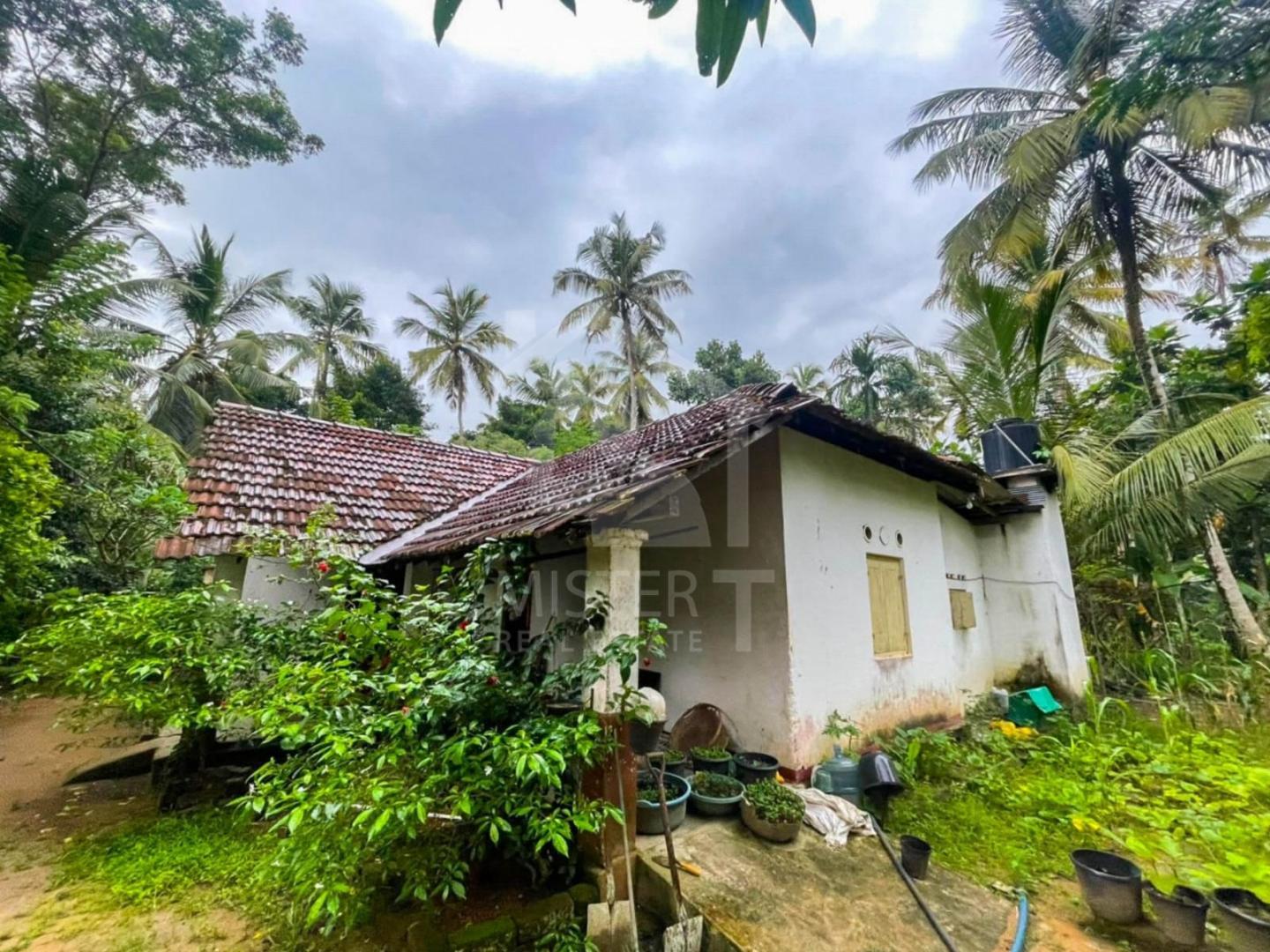 Land For Sale in Gampaha- image 3