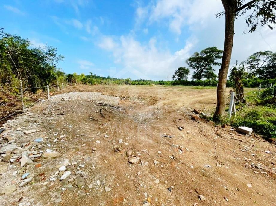 Land For Sale in Wadduwa- image 3