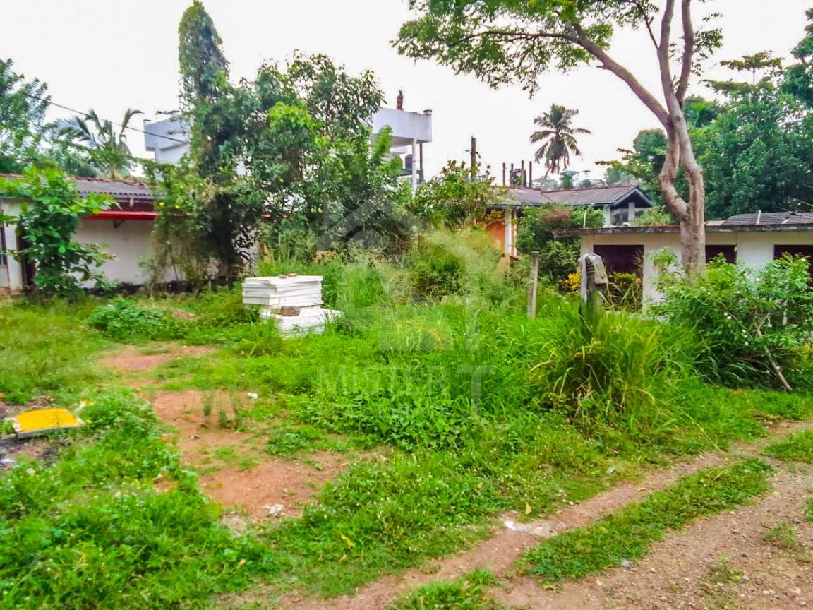 Land for Sale in Maharagama- image 1